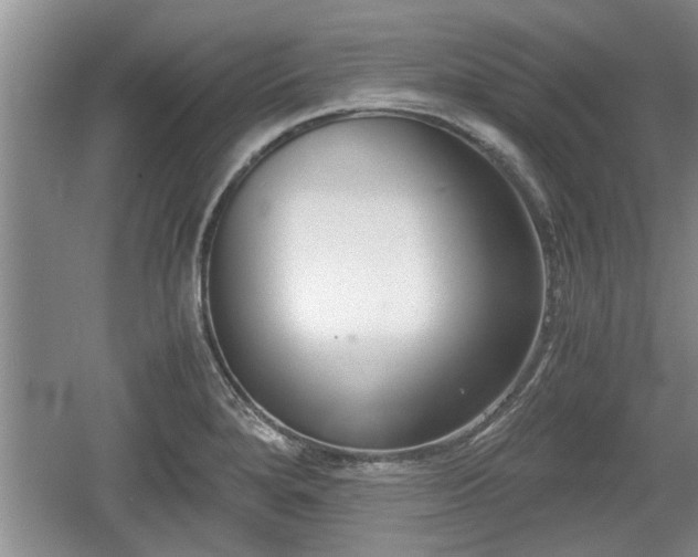 X0000061721280200512050856