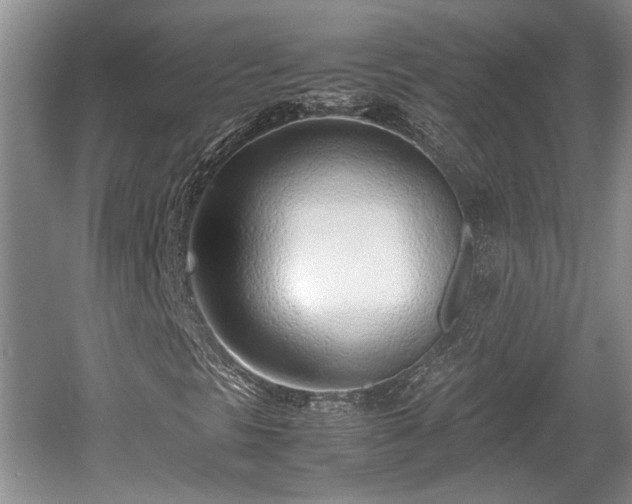 X0000061721297200512050855
