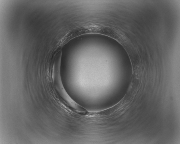 X0000061721298200512050855
