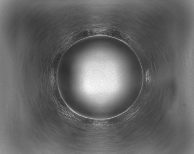 X0000061721299200512050855