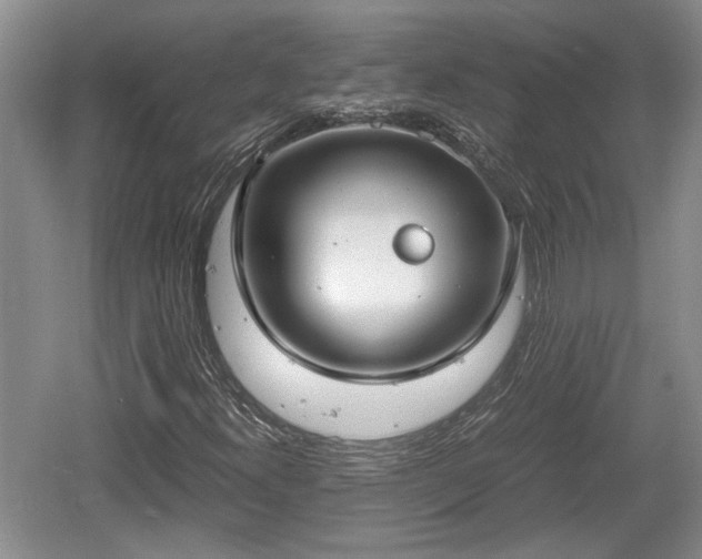 X0000061721300200512050855