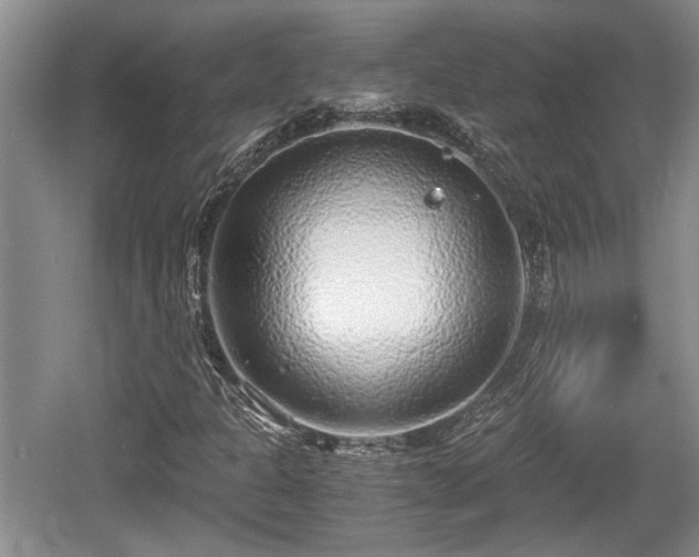 X0000061721301200512050855