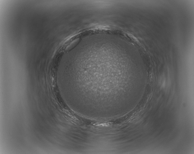 X0000061721303200512050855