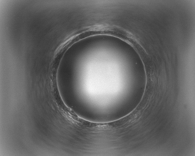 X0000061721304200512050855