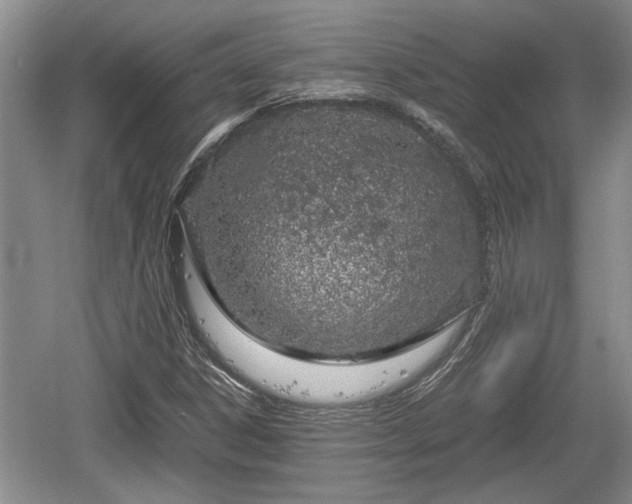 X0000061721306200512050855