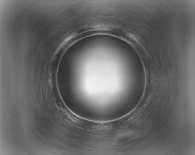 X0000061721307200512050856