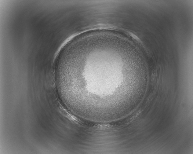 X0000061721310200512050856
