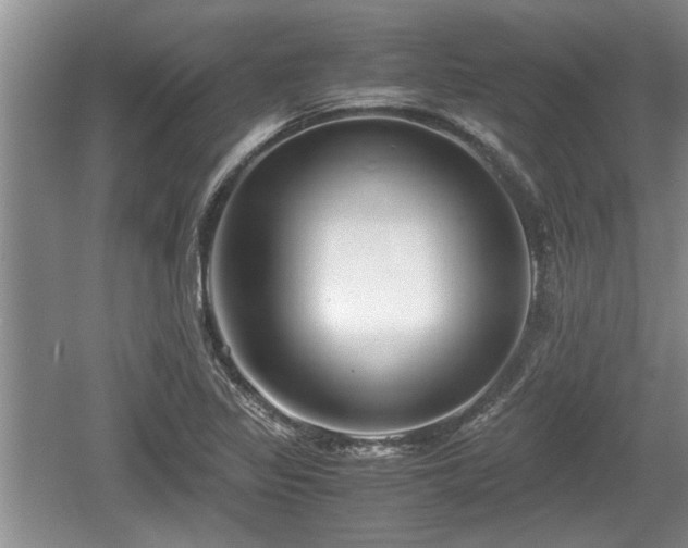 X0000061721317200512050856