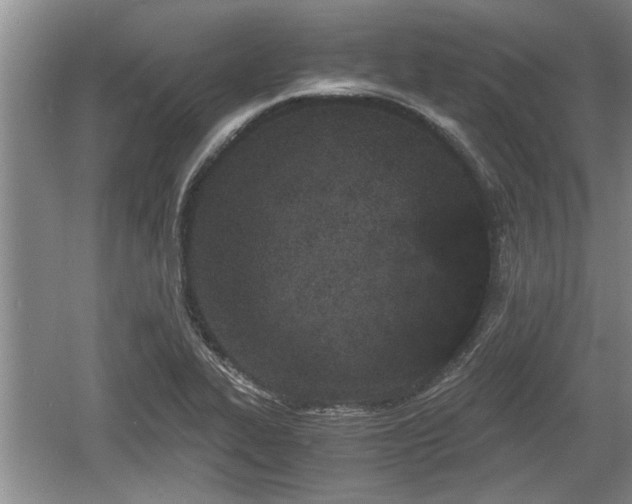 X0000061721319200512050856