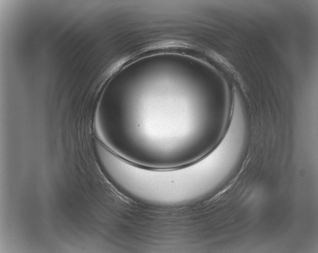 X0000061721321200512050856