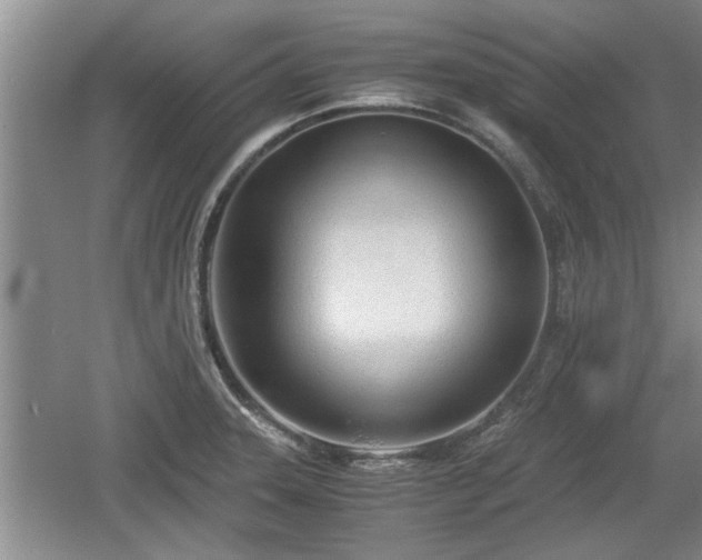X0000061721331200512050856