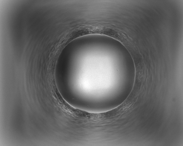 X0000061721345200512050855