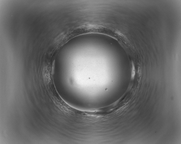 X0000061721348200512050855