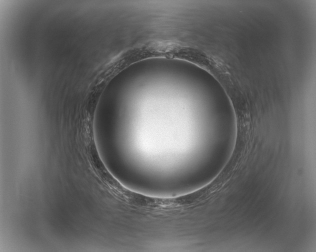 X0000061721349200512050855