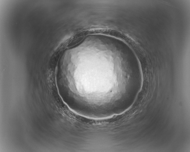 X0000061721351200512050855