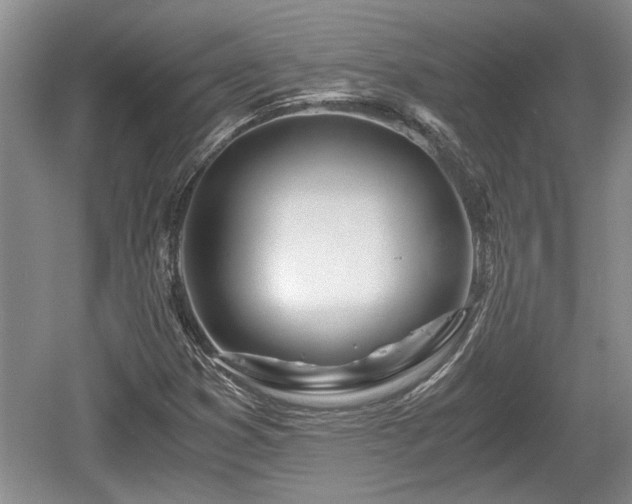 X0000061721353200512050855