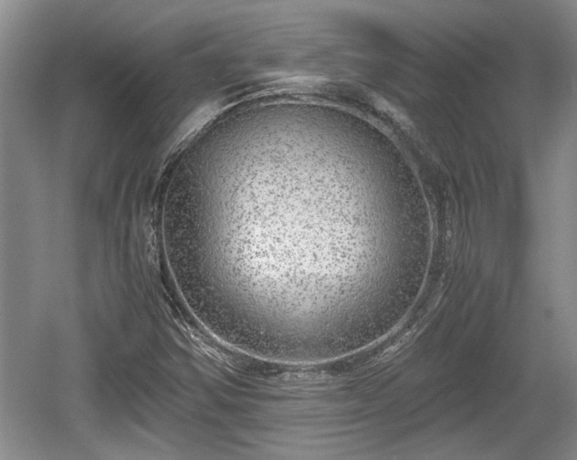X0000061721354200512050855