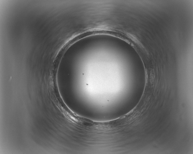 X0000061721356200512050855