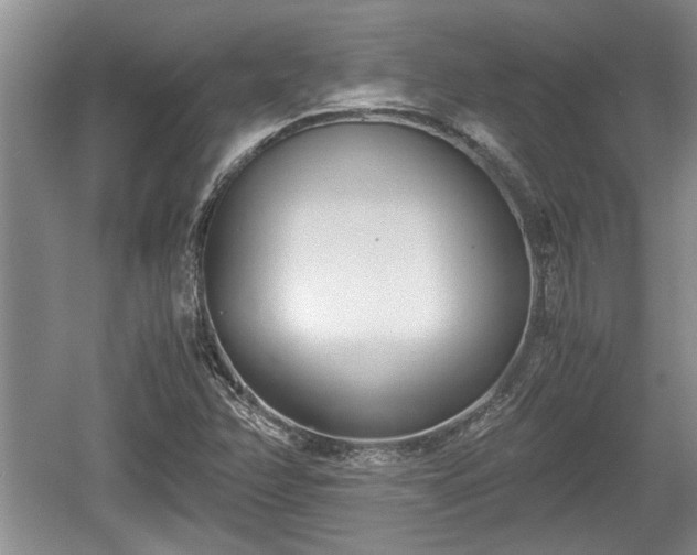 X0000061721358200512050855