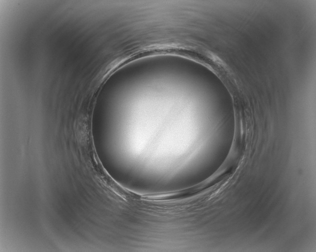 X0000061721361200512050855