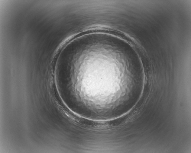 X0000061721363200512050855