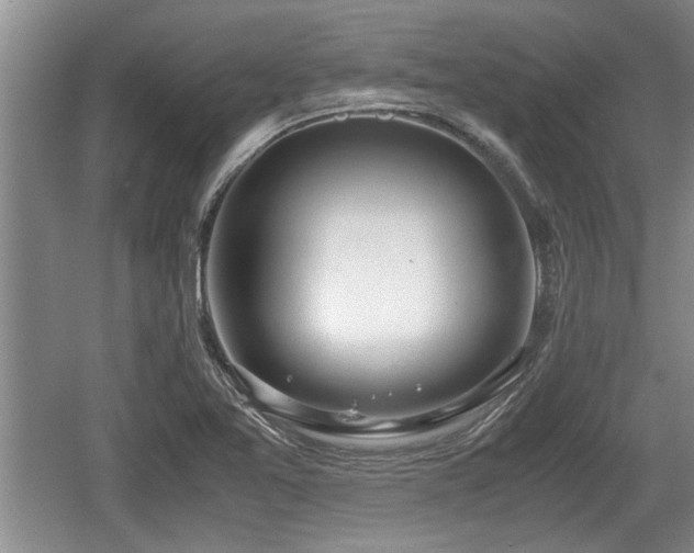 X0000061721365200512050855