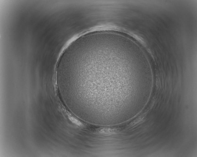 X0000061721366200512050855