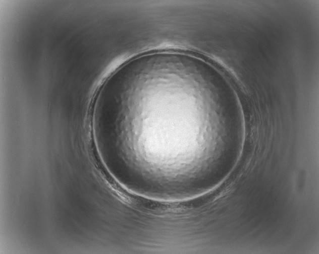 X0000061721367200512050855