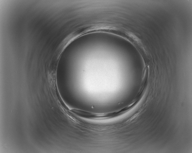 X0000061721369200512050855