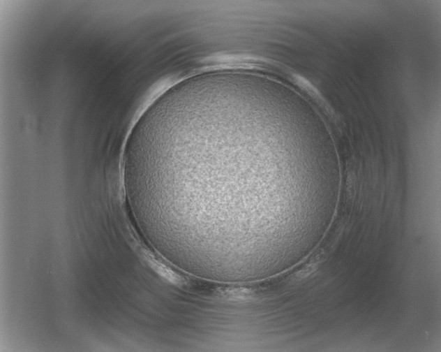 X0000061721370200512050855
