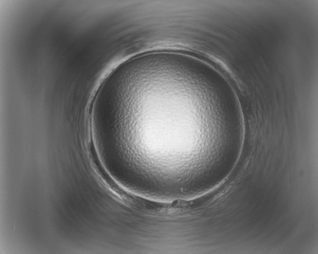 X0000061721371200512050855