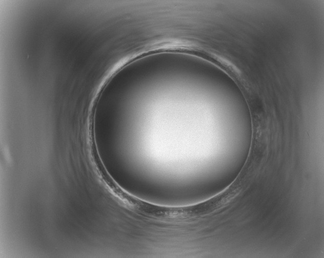 X0000061721375200512050855