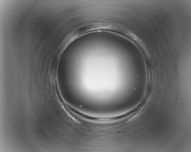 X0000061721377200512050855