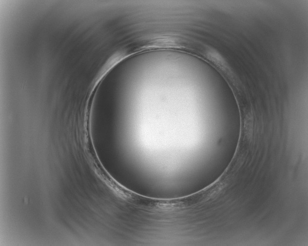 X0000061721378200512050855