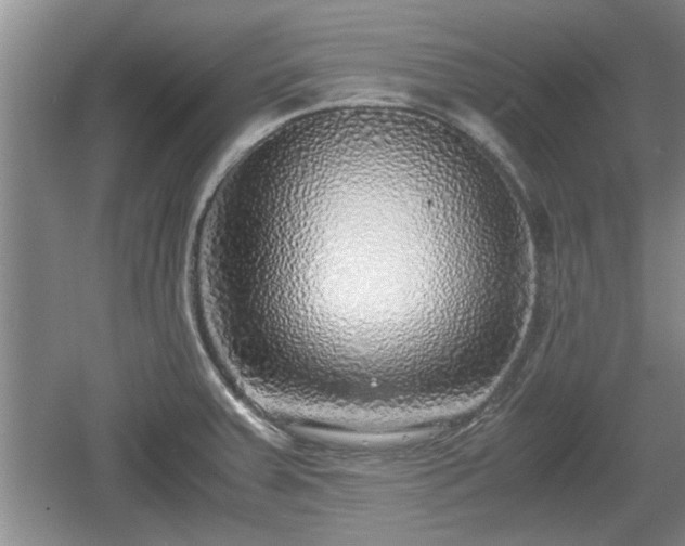 X0000061721379200512050855