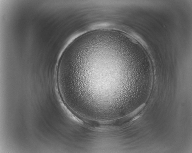 X0000061721392200512050855