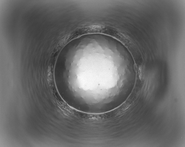 X0000061721395200512050854