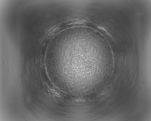 X0000061721399200512050854
