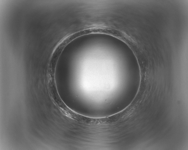 X0000061721400200512050854