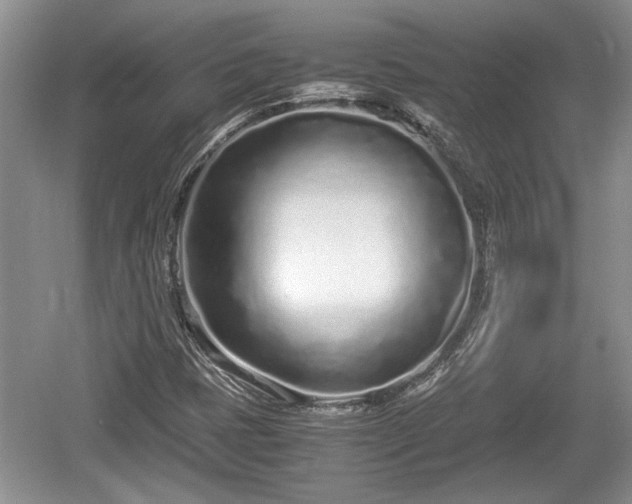 X0000061721401200512050854
