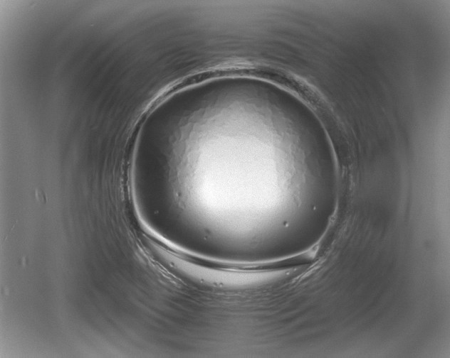 X0000061721409200512050854