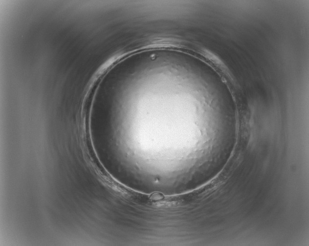 X0000061721419200512050854