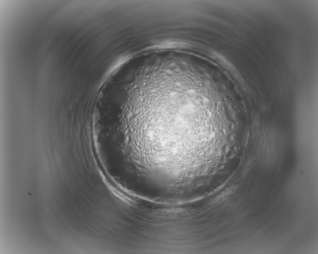 X0000061721425200512050854