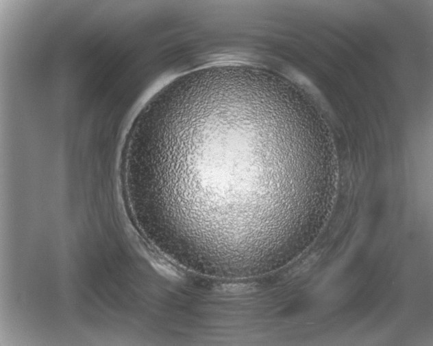 X0000061721427200512050854