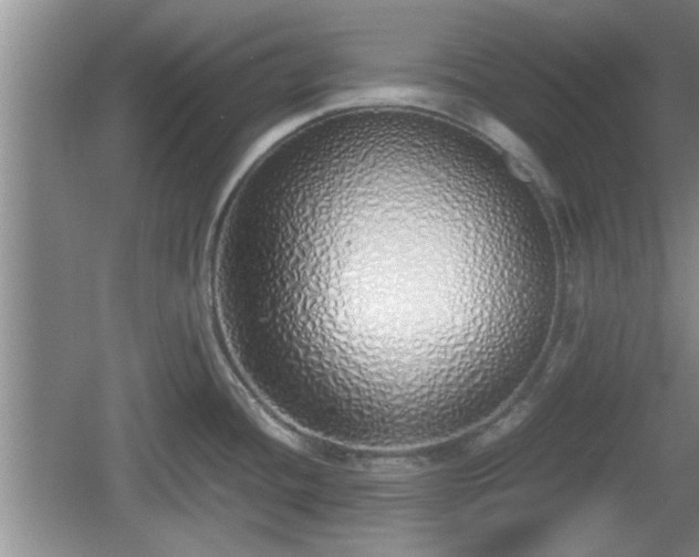 X0000061721436200512050854