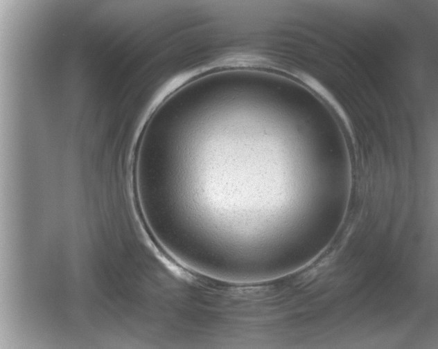X0000061721437200512050854