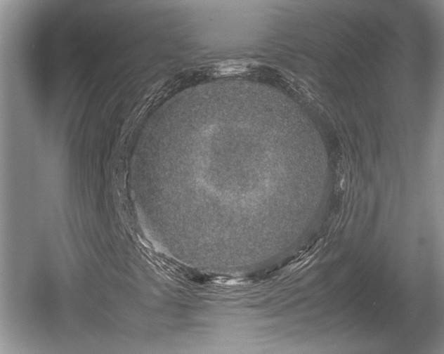 X0000061721441200512050854