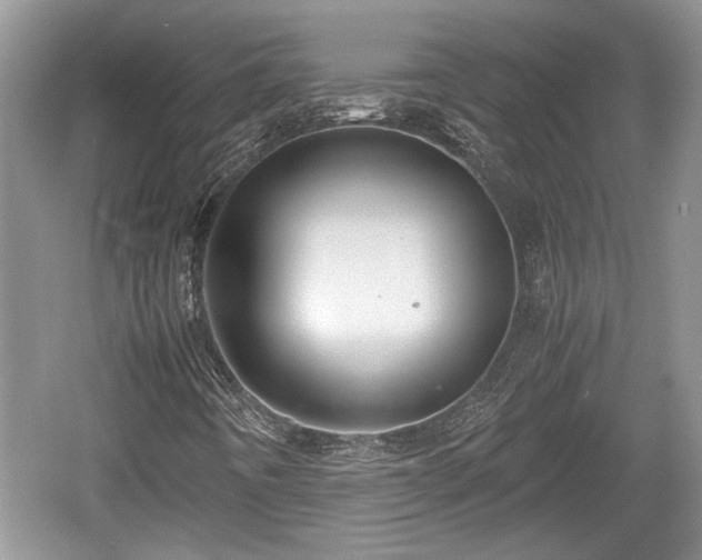X0000061721442200512050854