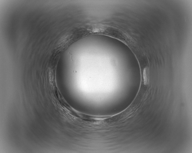 X0000061721443200512050854
