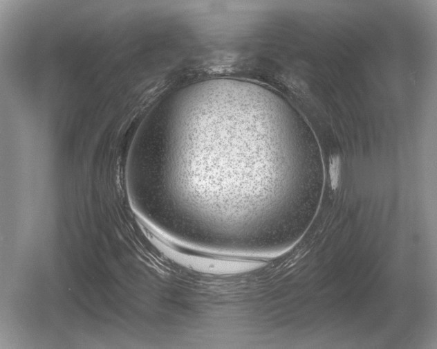 X0000061721444200512050854